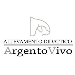 Argento Vivo