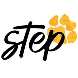 Step